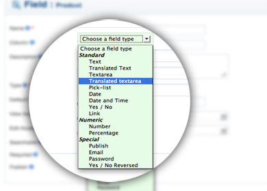 custom fields